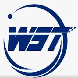 Logo Winner Sky Technology Malaysia Sdn. Bhd.