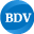 Logo BDV Solutions LLC
