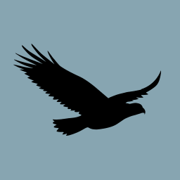 Logo Hawk Infinity AS