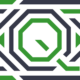 Logo Quidvis Ltd.