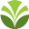 Logo Olam Group Ltd.