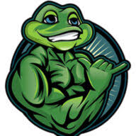 Logo Bullfrog Digital Marketing Agency & Seo Co.