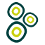 Logo PunaBio SA