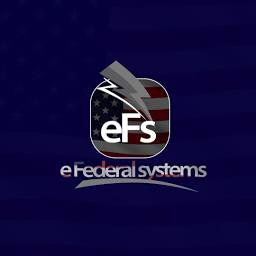 Logo Efederal Systems, Inc.