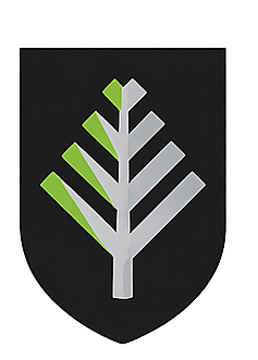 Logo Norfolk Metals Ltd.