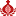 Logo Bonifraterskie Centrum Zdrowia Sp zoo