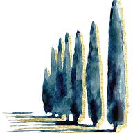 Logo Bel Air Growth Partners LLC