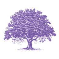 Logo Sherwood Foundation