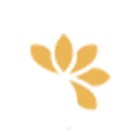 Logo Bloom Health Centers