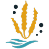 Logo Ocean Rainforest SPF