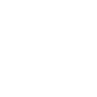 Logo Dreamliner Luxury Coaches
