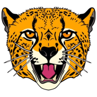 Logo Cheetah Express Logistics & Supaswift Zimbabwe