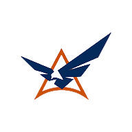 Logo Shearwater Aerospace