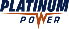 Logo Platinum Power Inc
