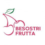 Logo Besostri Frutta Srl