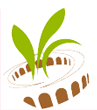 Logo Condifesa Verona CODIVE SCA