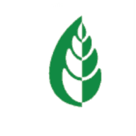 Logo Stiftelsen Det norske Skogfrøverk