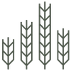 Logo Skyline Agriculture Financial Corp.