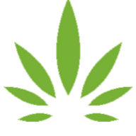 Logo Raphael Pharmaceutical, Inc.