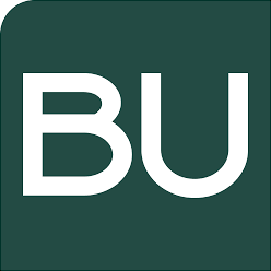 Logo B.U. ITALY S.R.L.