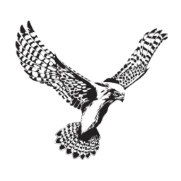 Logo Kestrel Powder Coating Ltd.