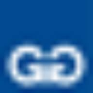 Logo GERDAU SUMMIT ACOS FUNDIDOS E FORJADOS S.A.