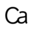 Logo CAAAP NV