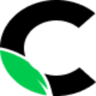 Logo Caplyzer AB