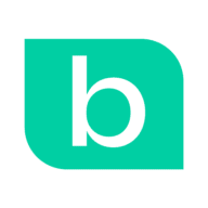 Logo Badger CPA Austin LLC