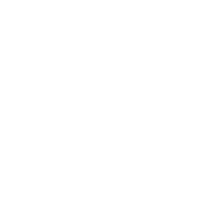 Logo Simplygon Se