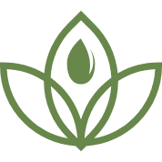 Logo NativeSeed Group