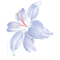 Logo Naturis Cosmetics Pvt Ltd.