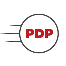 Logo Professional Delivery Providers LLC