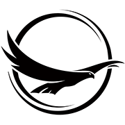 Logo Black Kite Capital Pvt Ltd.