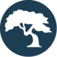 Logo AV Securities, Inc.