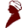 Logo Raman Research Institute