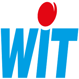 Logo WIT SAS
