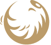 Logo Musstir LLC