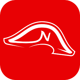 Logo Napoleon Games NV