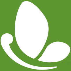 Logo Bellevue Lifespring