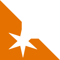 Logo Deposition Solutions LLC